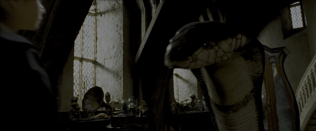 Wide shot frame from Harry Potter and the Prisoner of Azkaban — room, animal, lamp