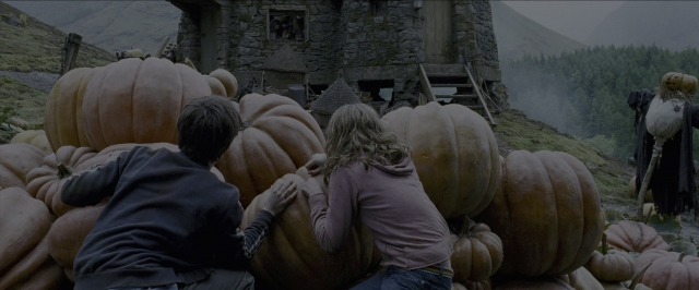 Wide shot frame from Harry Potter and the Prisoner of Azkaban — people, action, show