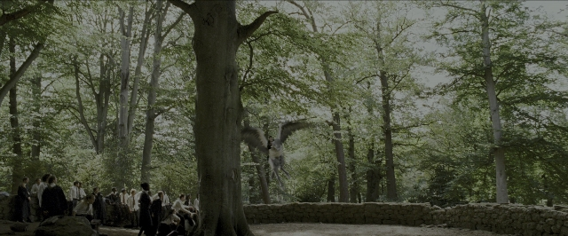 Wide shot frame from Harry Potter and the Prisoner of Azkaban — sitting, bird, forest