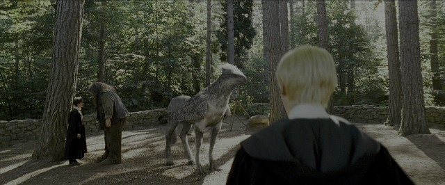 Wide shot frame from Harry Potter and the Prisoner of Azkaban — book, standing, animal