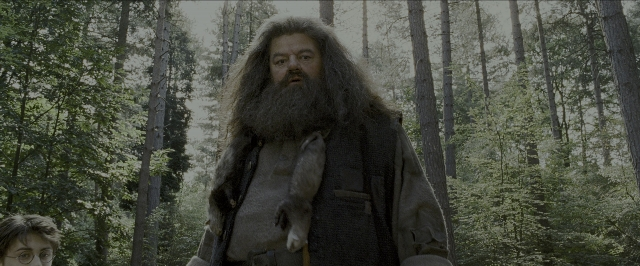 Wide shot frame from Harry Potter and the Prisoner of Azkaban — standing, coat, hand