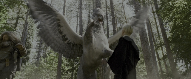 Wide shot frame from Harry Potter and the Prisoner of Azkaban — standing, face, bird