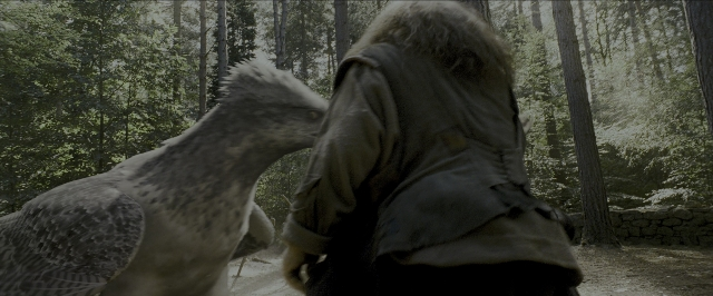 Wide shot frame from Harry Potter and the Prisoner of Azkaban — standing, animal, bird