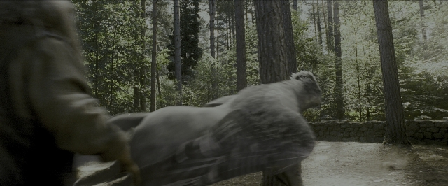 Wide shot frame from Harry Potter and the Prisoner of Azkaban — walking, animal, coat