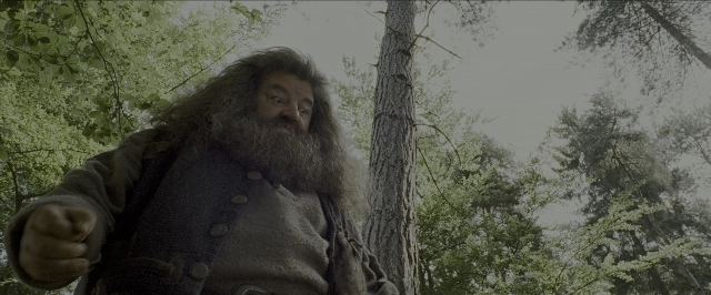 Wide shot frame from Harry Potter and the Prisoner of Azkaban — standing, coat, beard