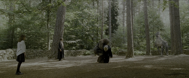 Wide shot frame from Harry Potter and the Prisoner of Azkaban — standing, animal, dress