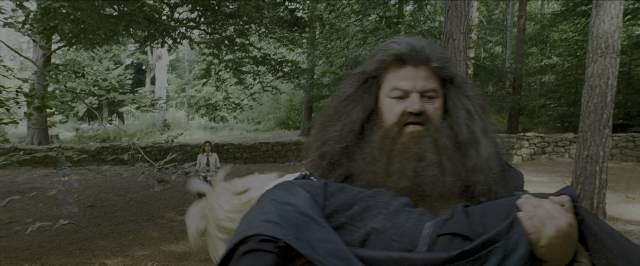 Wide shot frame from Harry Potter and the Prisoner of Azkaban — dog, beard, face