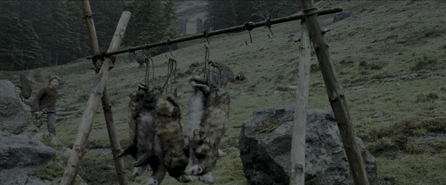 Wide shot frame from Harry Potter and the Prisoner of Azkaban — standing, animal, person
