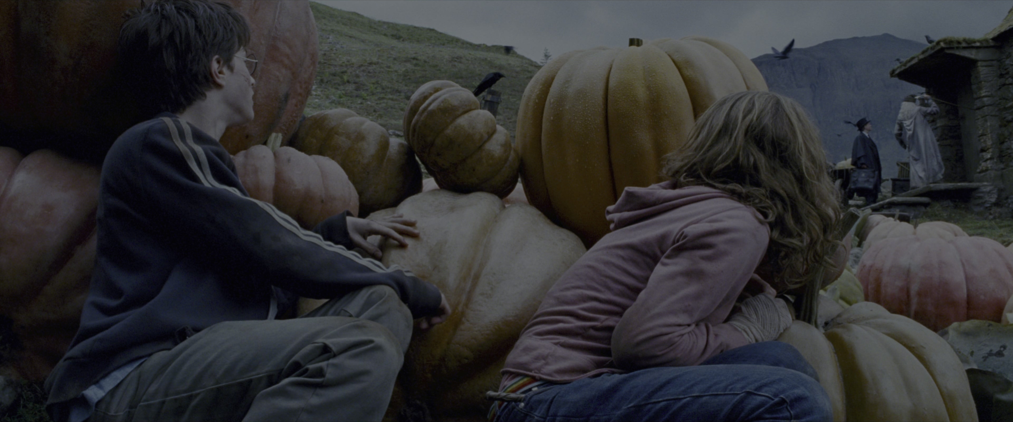 Harry Potter and the Prisoner of Azkaban (2004), wide, 2.40:1 — film still