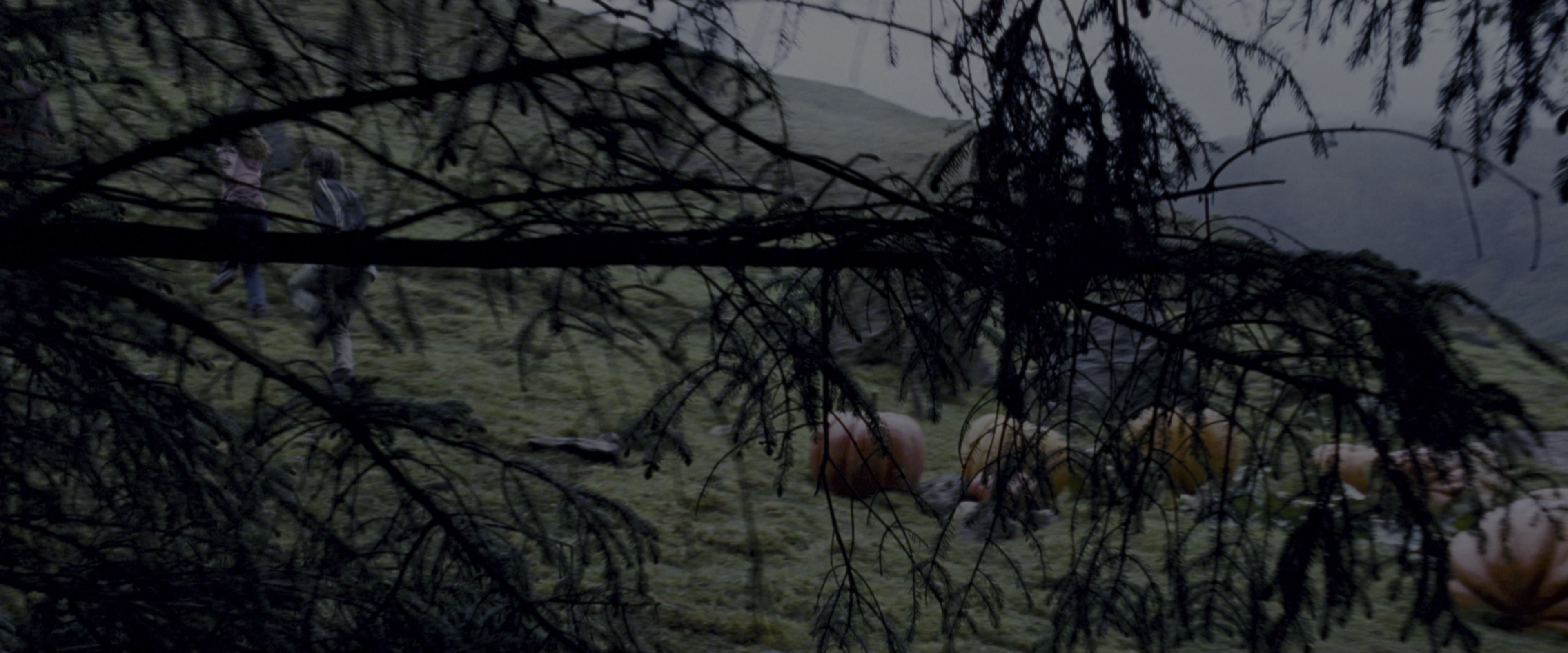 Harry Potter and the Prisoner of Azkaban (2004), wide, 2.40:1 — film still