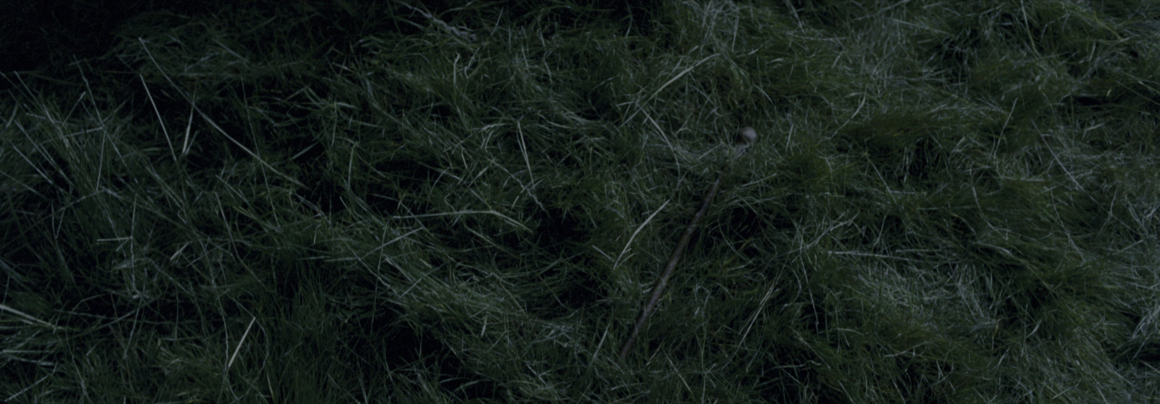 Harry Potter and the Prisoner of Azkaban (2004), wide, 2.87:1 — film still