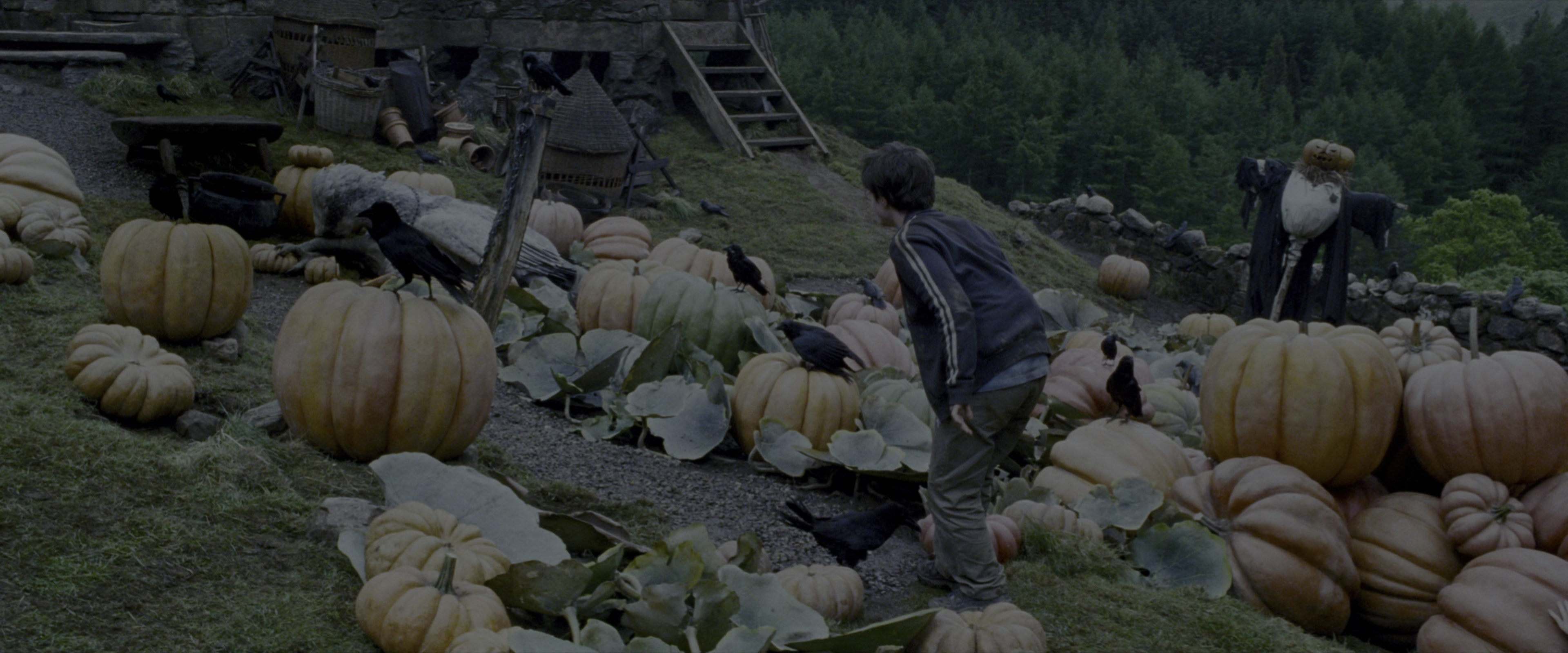 Harry Potter and the Prisoner of Azkaban (2004), wide, 2.40:1 — film still