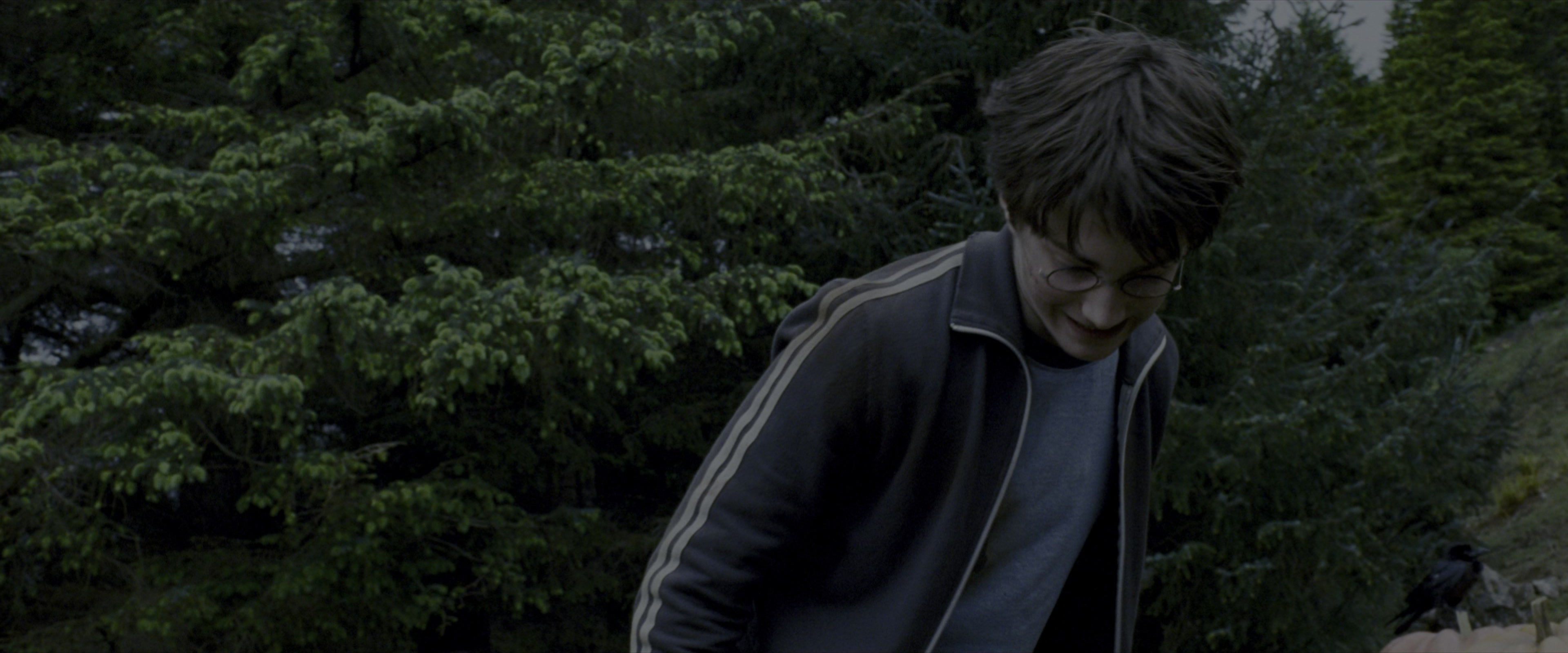 Harry Potter and the Prisoner of Azkaban (2004), wide, 2.40:1 — film still