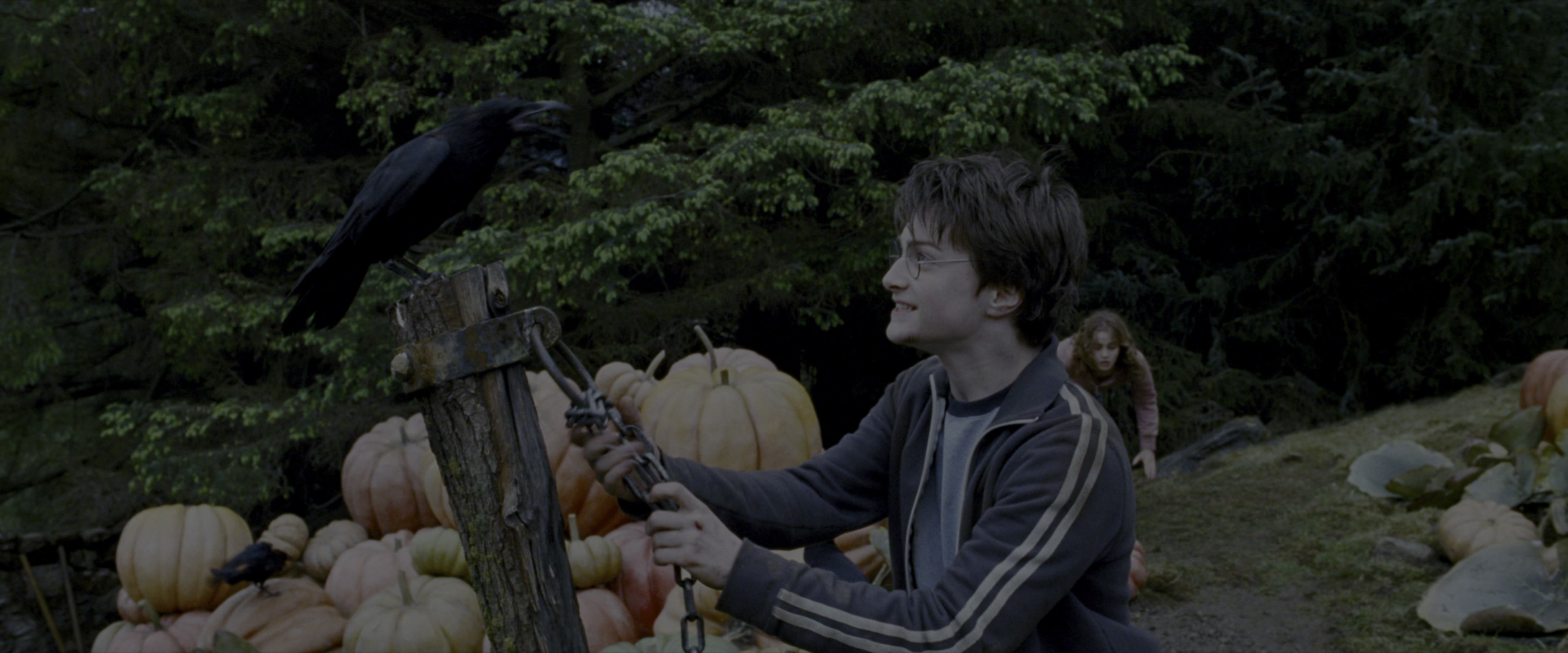 Harry Potter and the Prisoner of Azkaban (2004), wide, 2.40:1 — film still