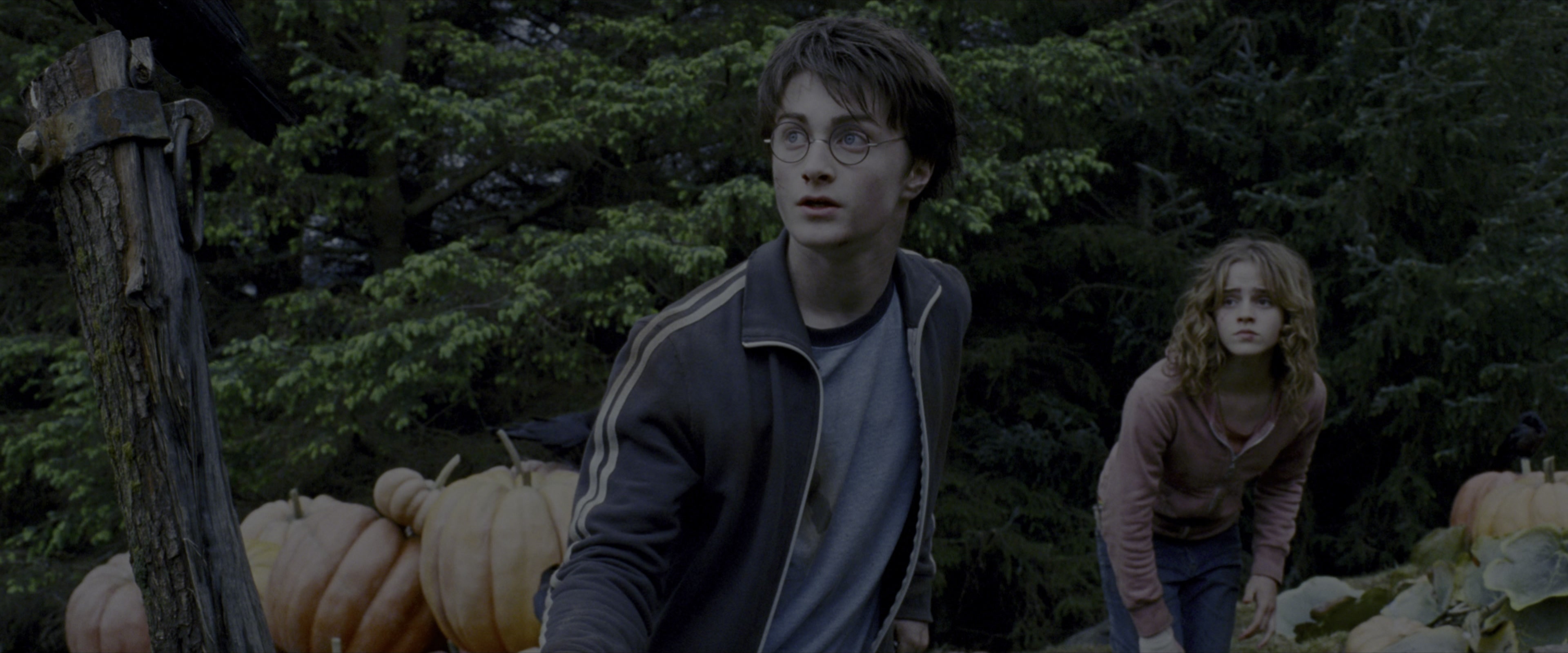 Harry Potter and the Prisoner of Azkaban (2004), wide, 2.40:1 — film still