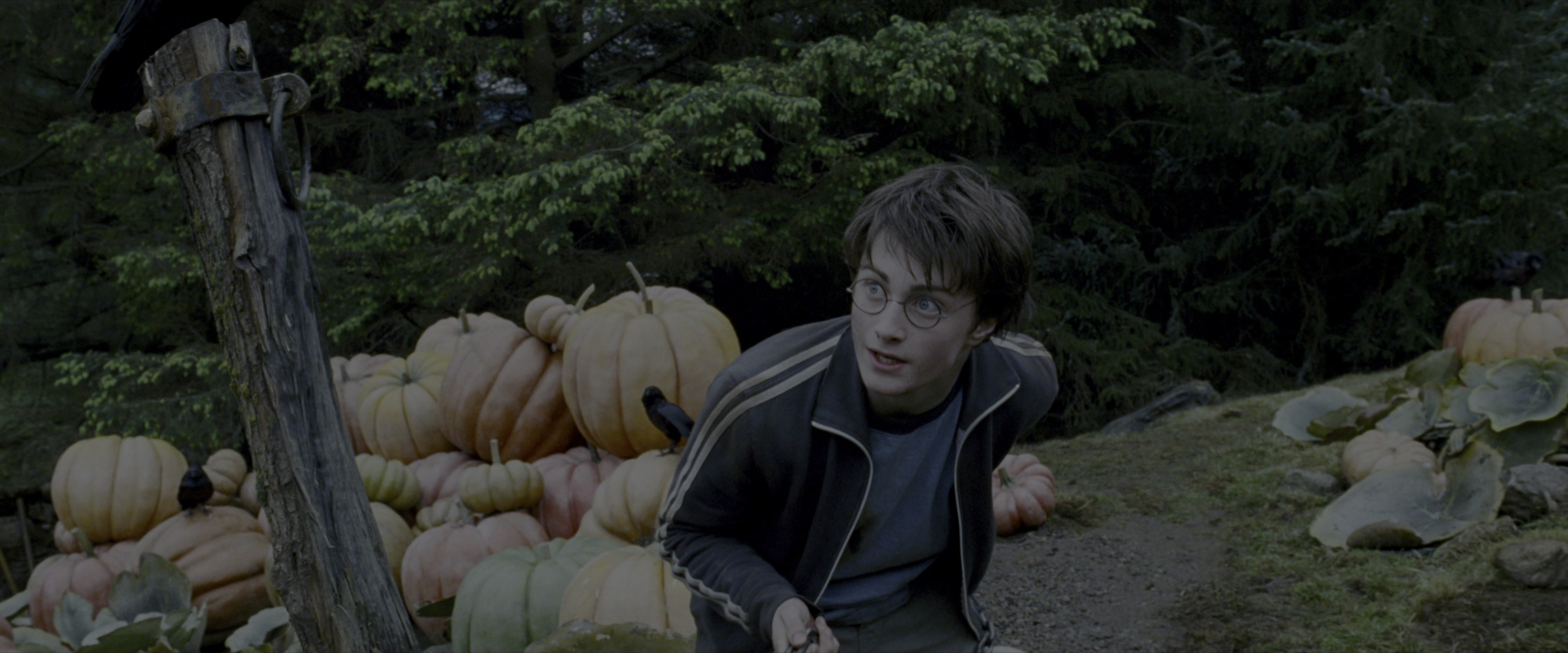 Harry Potter and the Prisoner of Azkaban (2004), wide, 2.40:1 — film still