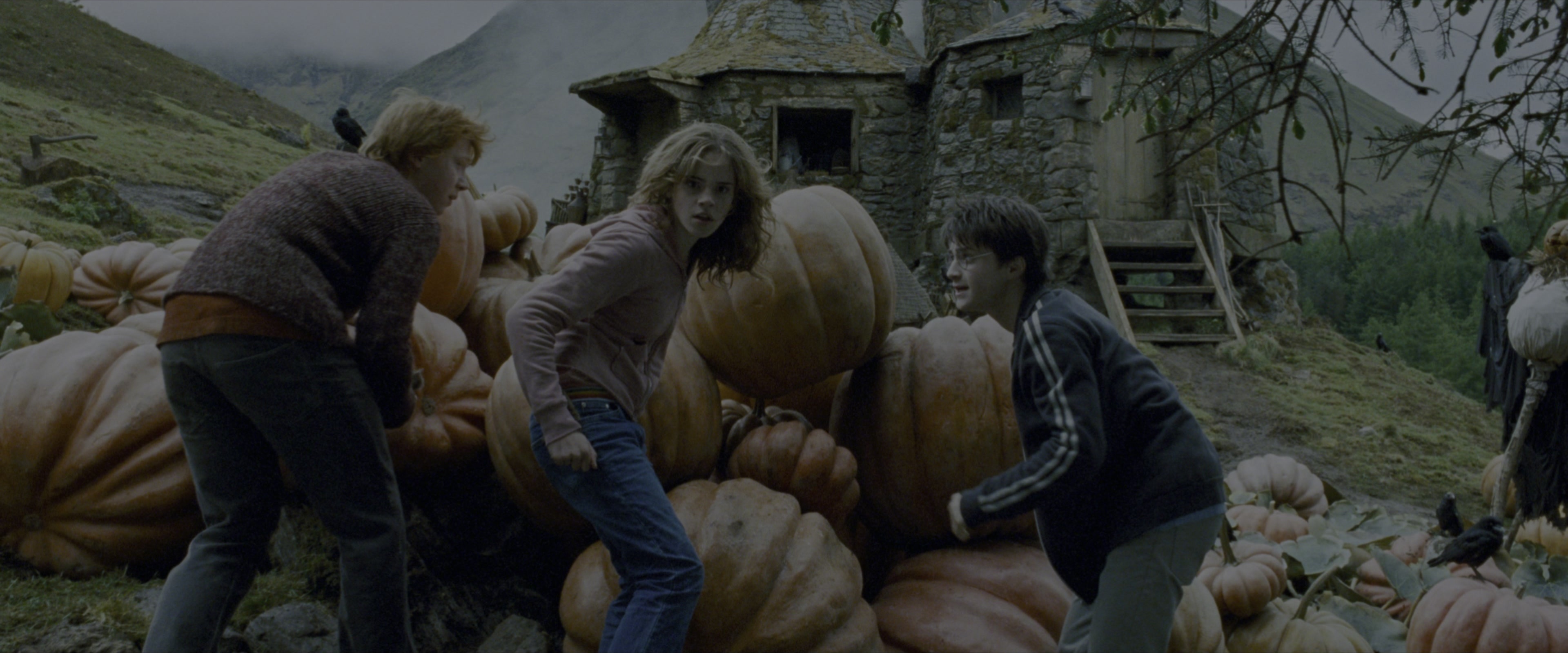 Harry Potter and the Prisoner of Azkaban (2004), wide, 2.40:1 — film still