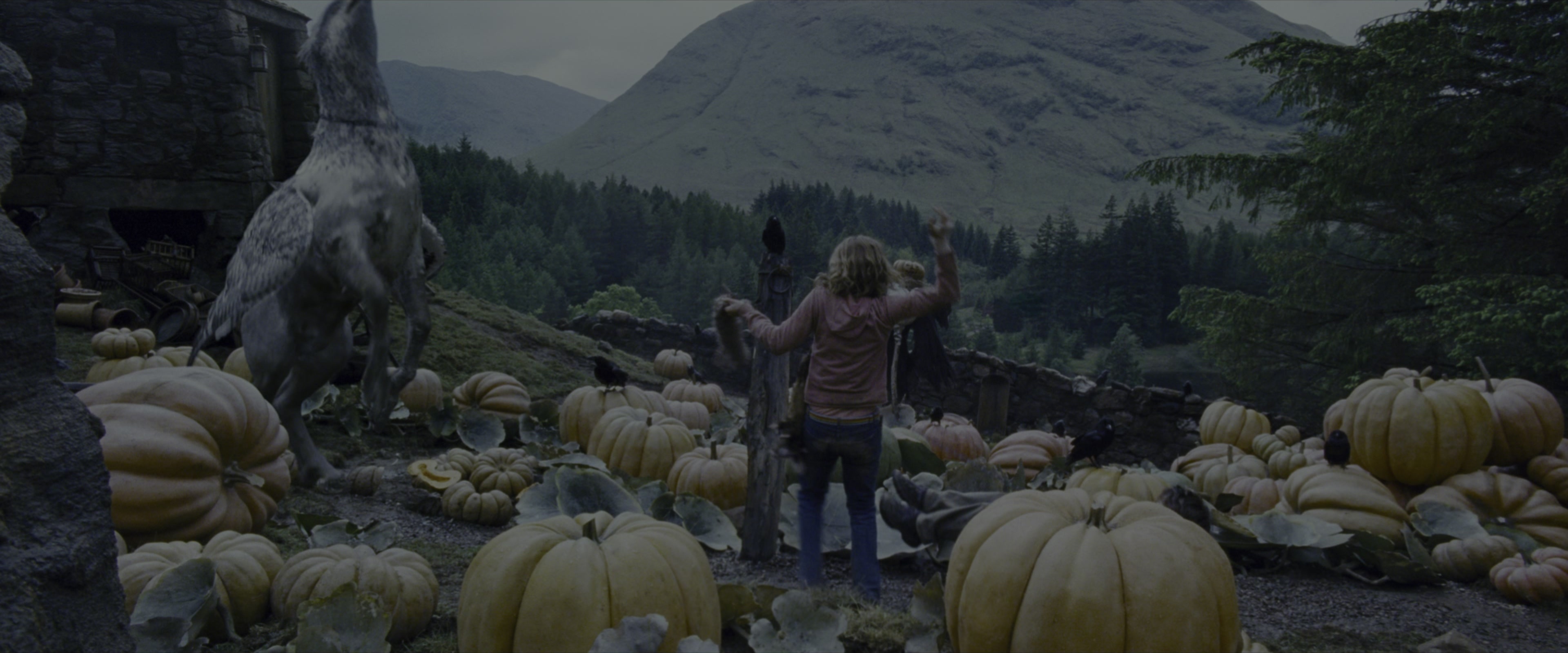 Harry Potter and the Prisoner of Azkaban (2004), wide, 2.40:1 — film still