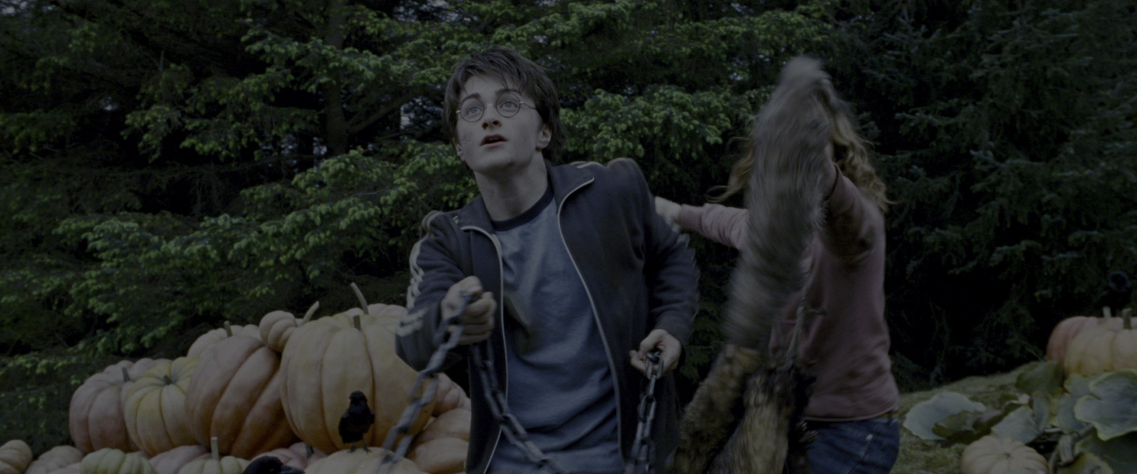 Harry Potter and the Prisoner of Azkaban (2004), wide, 2.40:1 — film still