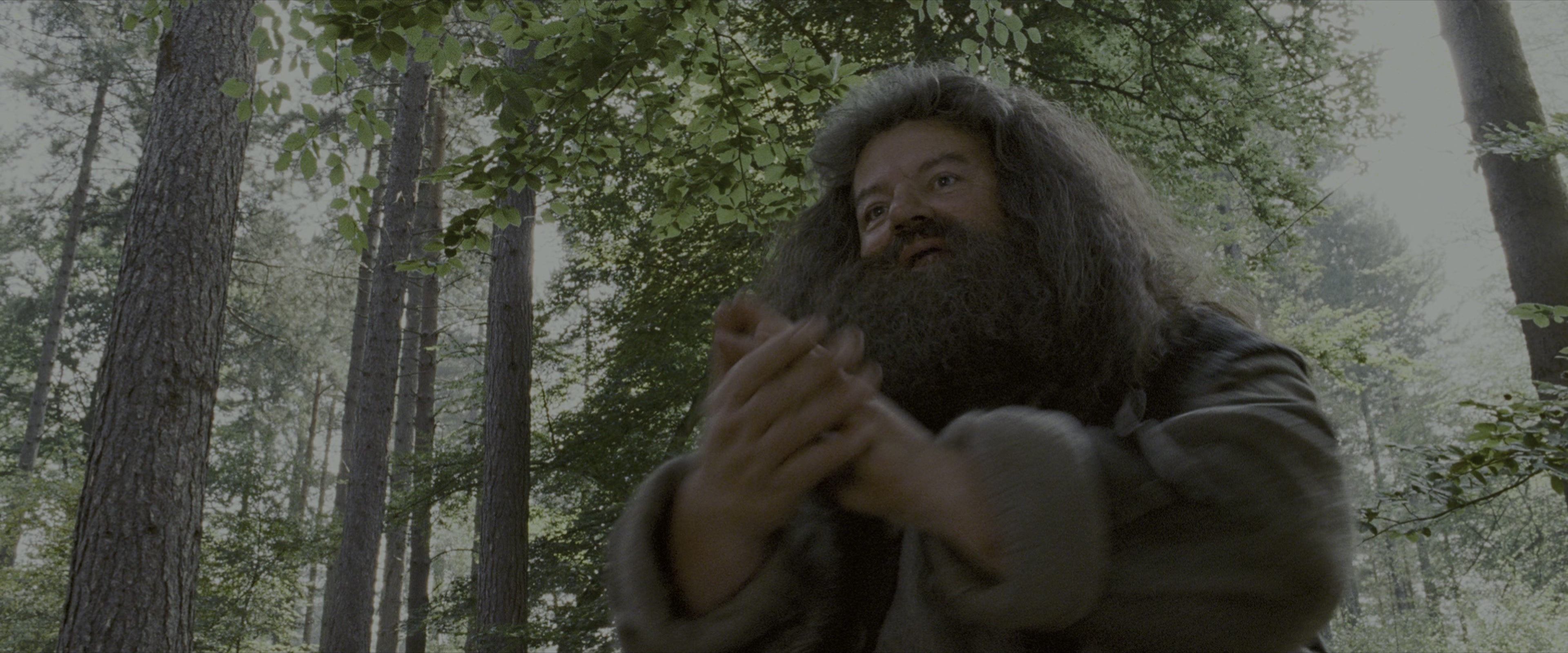 Harry Potter and the Prisoner of Azkaban (2004), wide, 2.40:1 — film still
