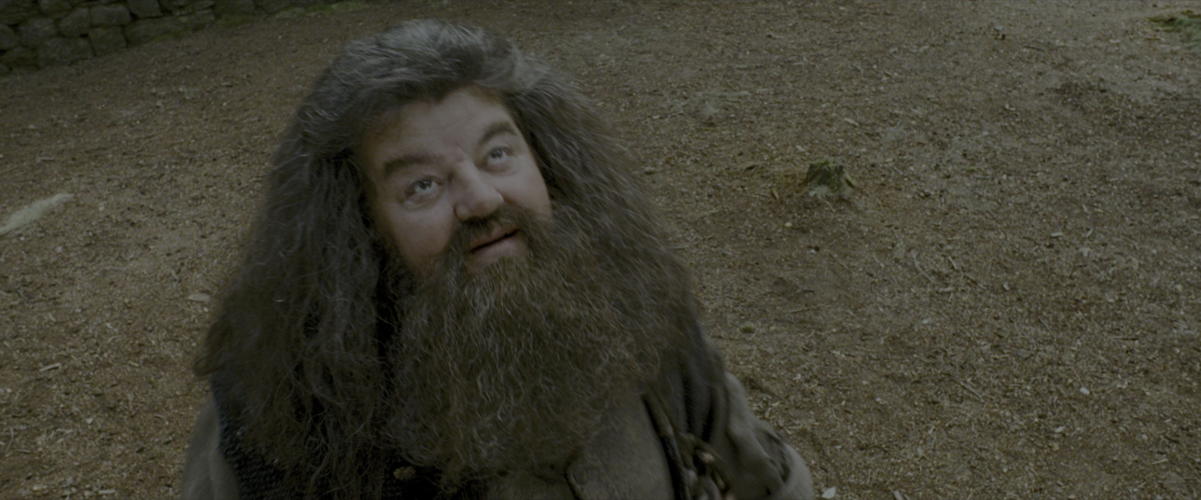 Harry Potter and the Prisoner of Azkaban (2004), wide, 2.40:1 — film still