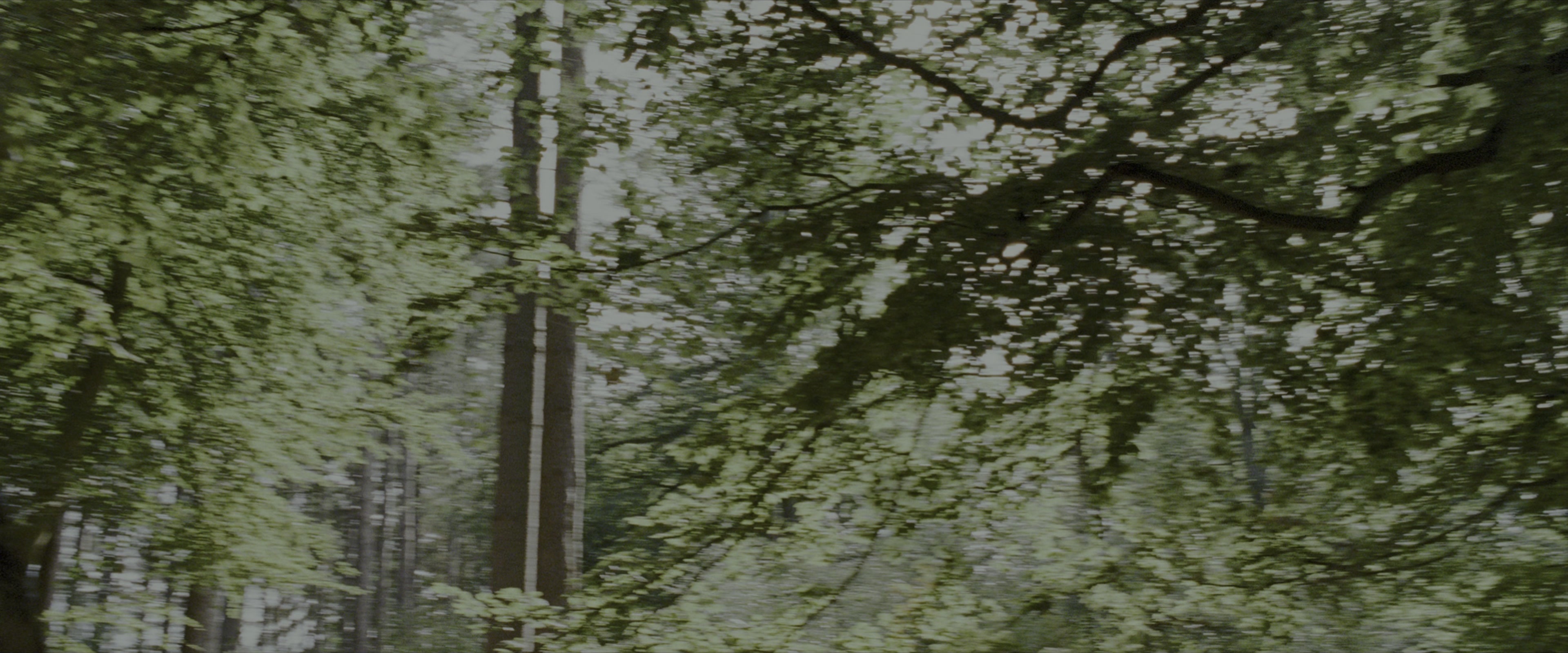 Harry Potter and the Prisoner of Azkaban (2004), wide, 2.40:1 — film still