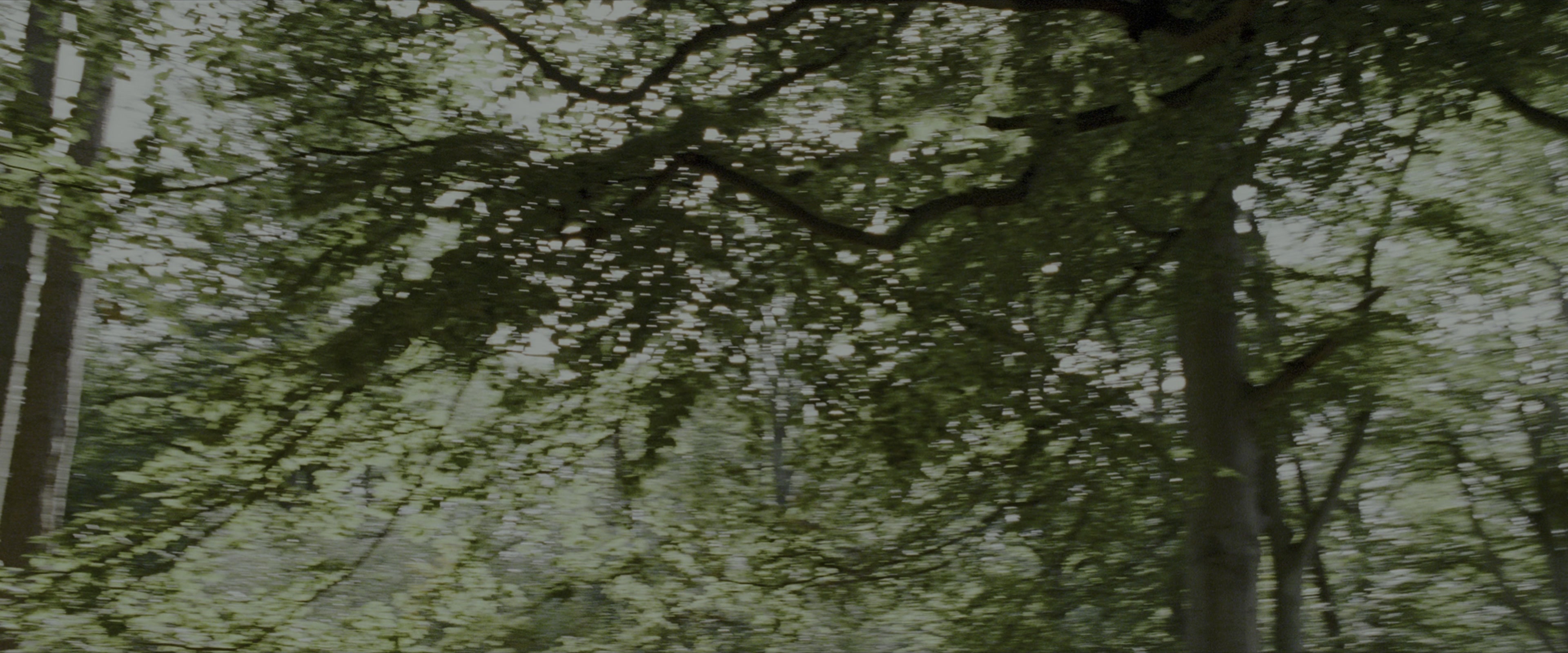 Harry Potter and the Prisoner of Azkaban (2004), wide, 2.40:1 — film still