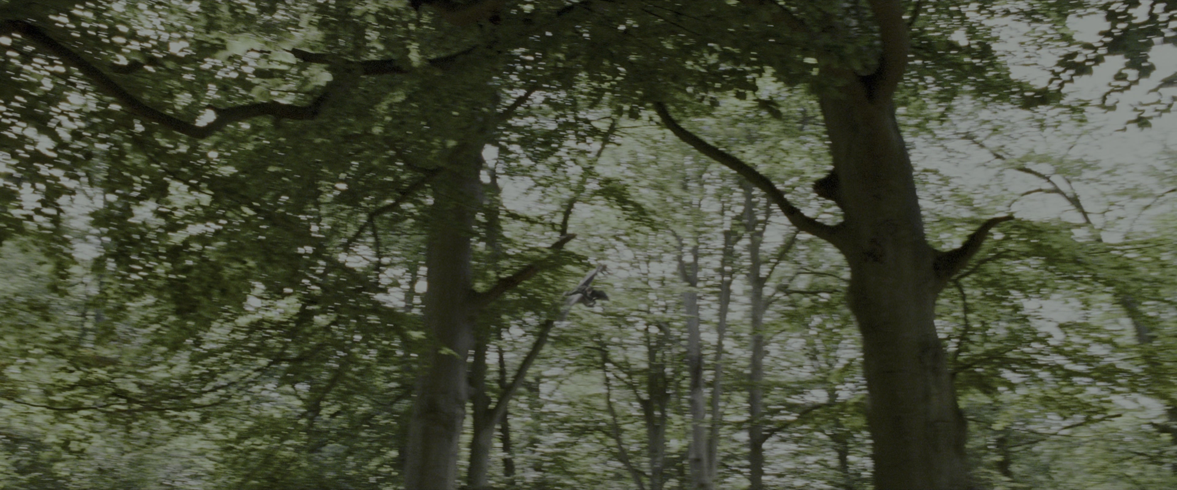 Harry Potter and the Prisoner of Azkaban (2004), wide, 2.40:1 — film still
