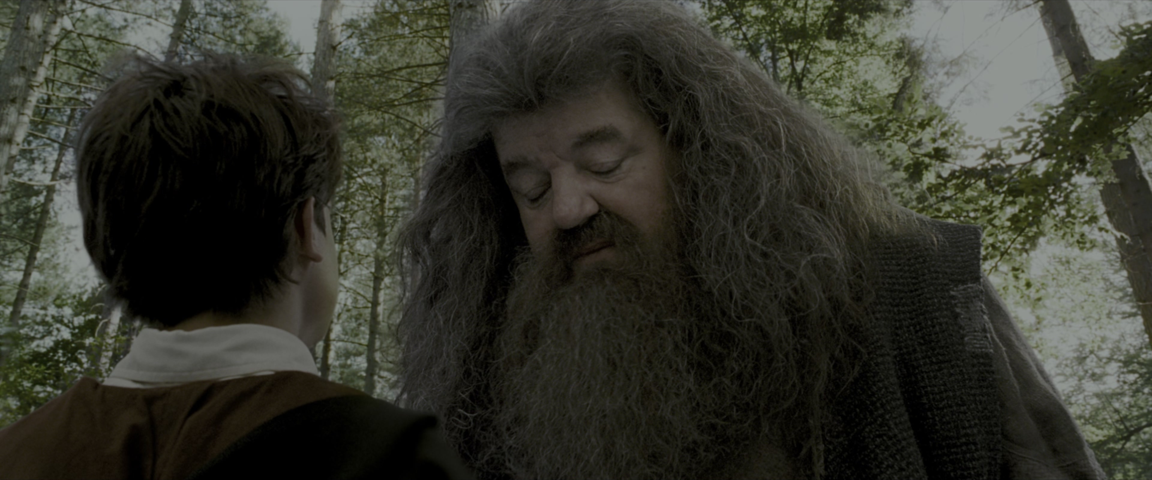 Harry Potter and the Prisoner of Azkaban (2004), wide, 2.40:1 — film still