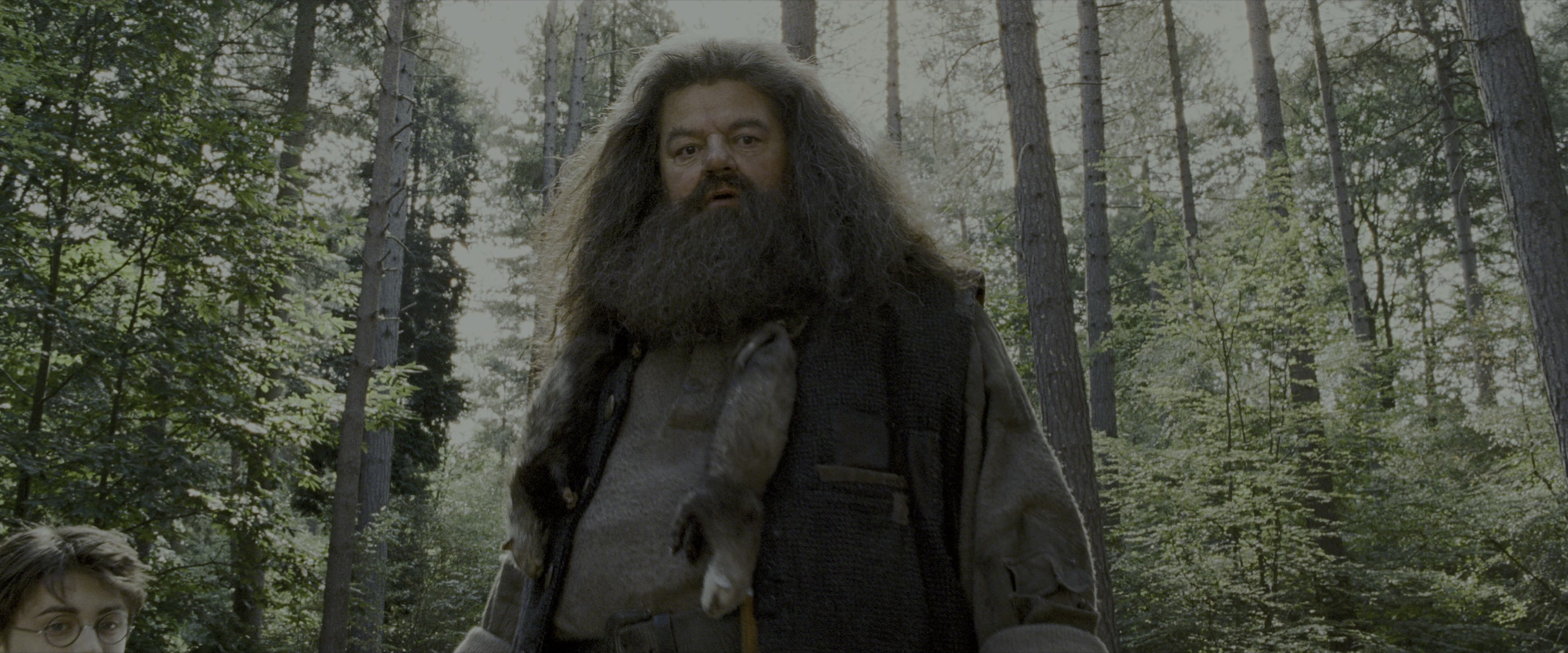 Harry Potter and the Prisoner of Azkaban (2004), wide, 2.40:1 — film still