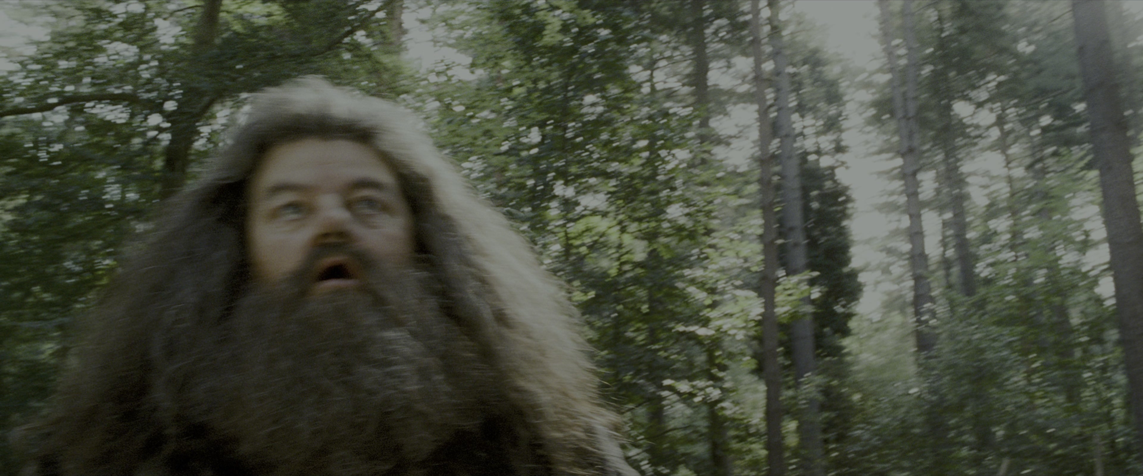 Harry Potter and the Prisoner of Azkaban (2004), medium, 2.40:1 — film still