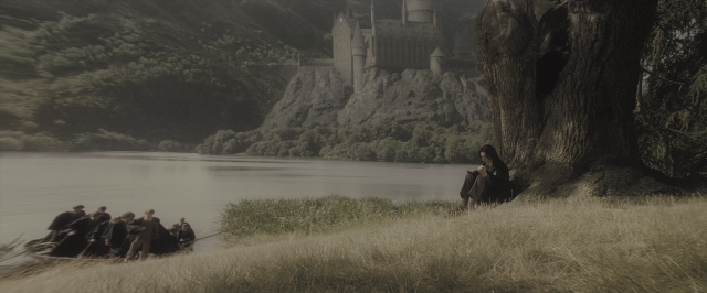 Wide shot frame from Harry Potter and the Order of the Phoenix — people, action, group