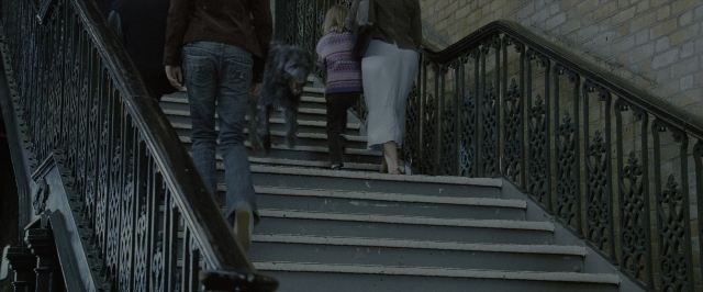 Wide shot frame from Harry Potter and the Order of the Phoenix — walking, dog, coat