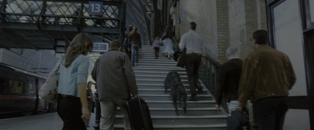 Wide shot frame from Harry Potter and the Order of the Phoenix — walking, bag, train