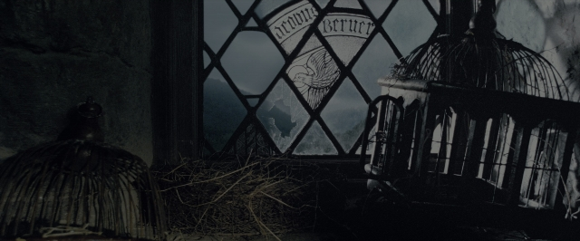 Wide shot frame from Harry Potter and the Order of the Phoenix — room, bird, window