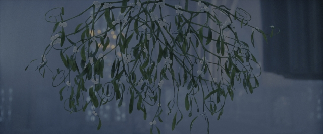 Wide shot frame from Harry Potter and the Order of the Phoenix — room, flower, window