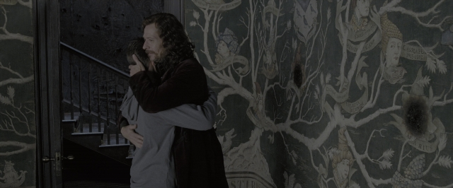 Wide shot frame from Harry Potter and the Order of the Phoenix — standing, hug, hair