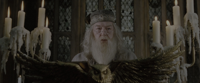 Wide shot frame from Harry Potter and the Order of the Phoenix — sitting, hat, beard