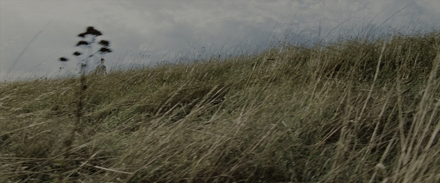 Wide shot frame from Harry Potter and the Order of the Phoenix — bird