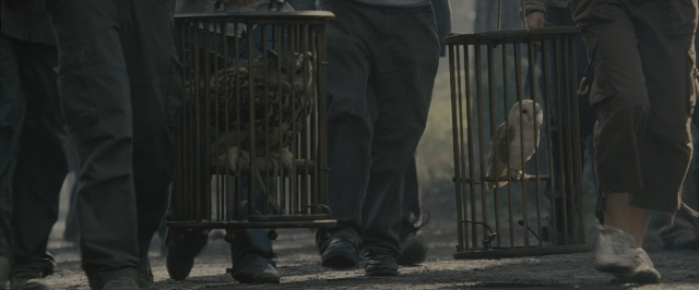 Wide shot frame from Harry Potter and the Order of the Phoenix — walking, street, bird
