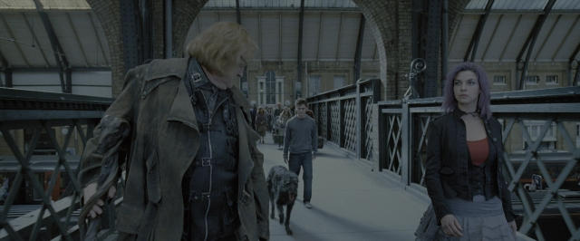 Wide shot frame from Harry Potter and the Order of the Phoenix — standing, walking, dog