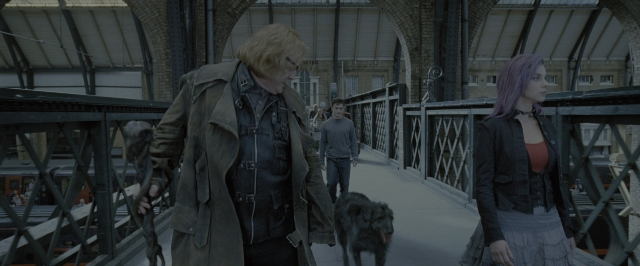 Wide shot frame from Harry Potter and the Order of the Phoenix — walking, dog, coat