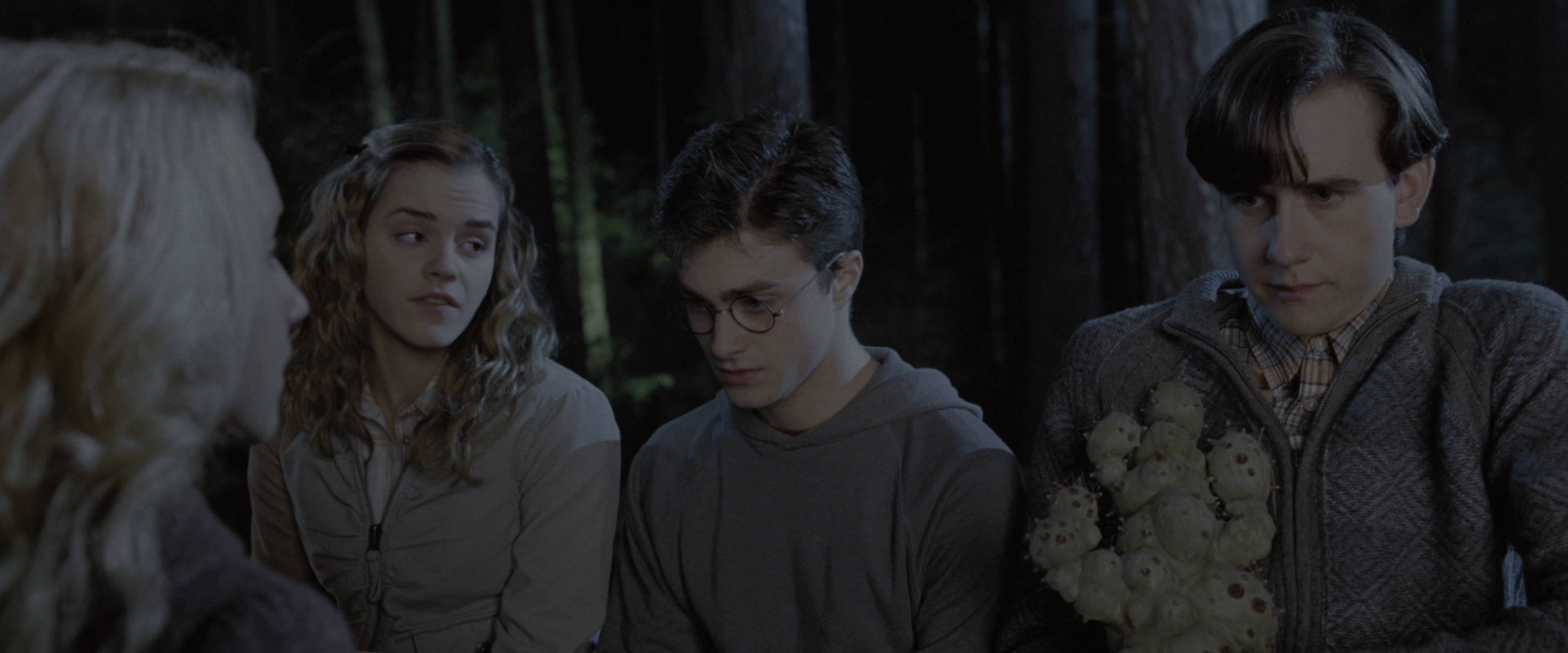 Harry Potter and the Order of the Phoenix (2007), wide, 2.40:1 — film still