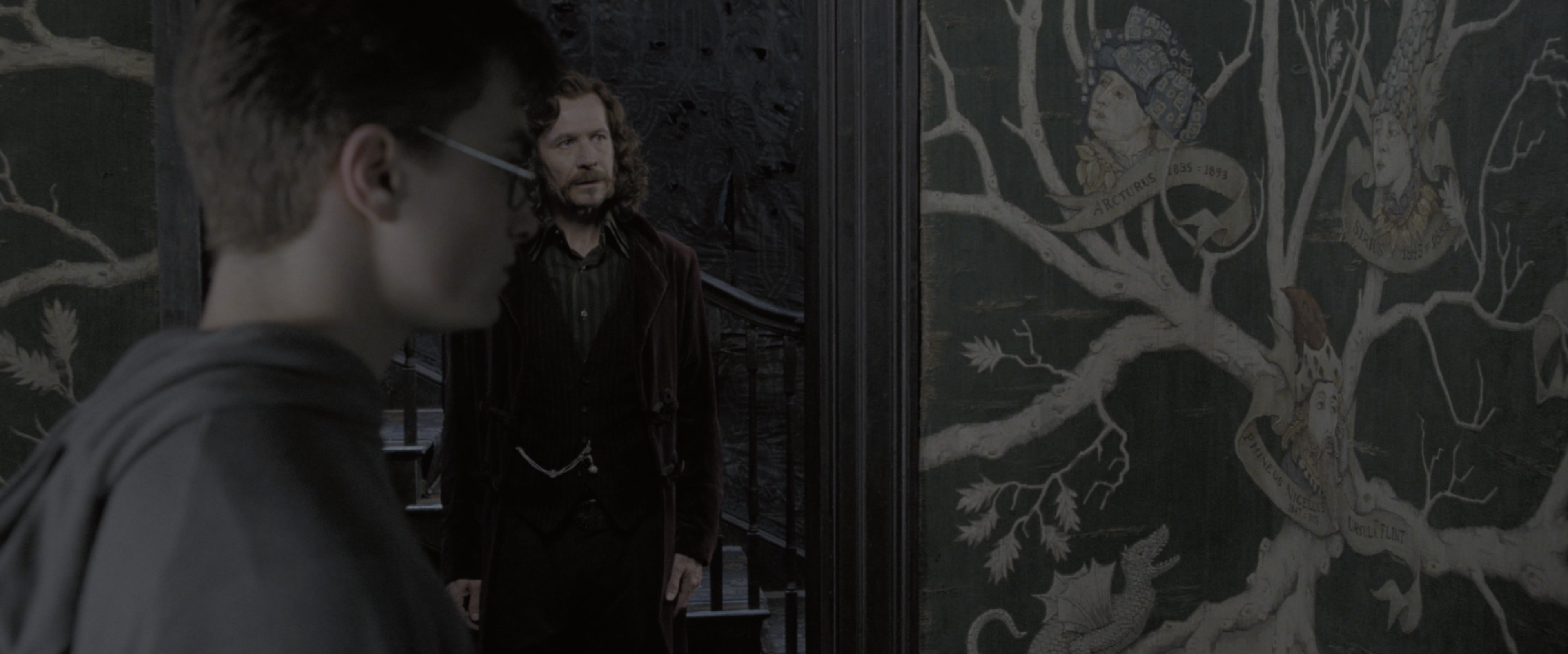 Harry Potter and the Order of the Phoenix (2007), wide, 2.40:1 — film still