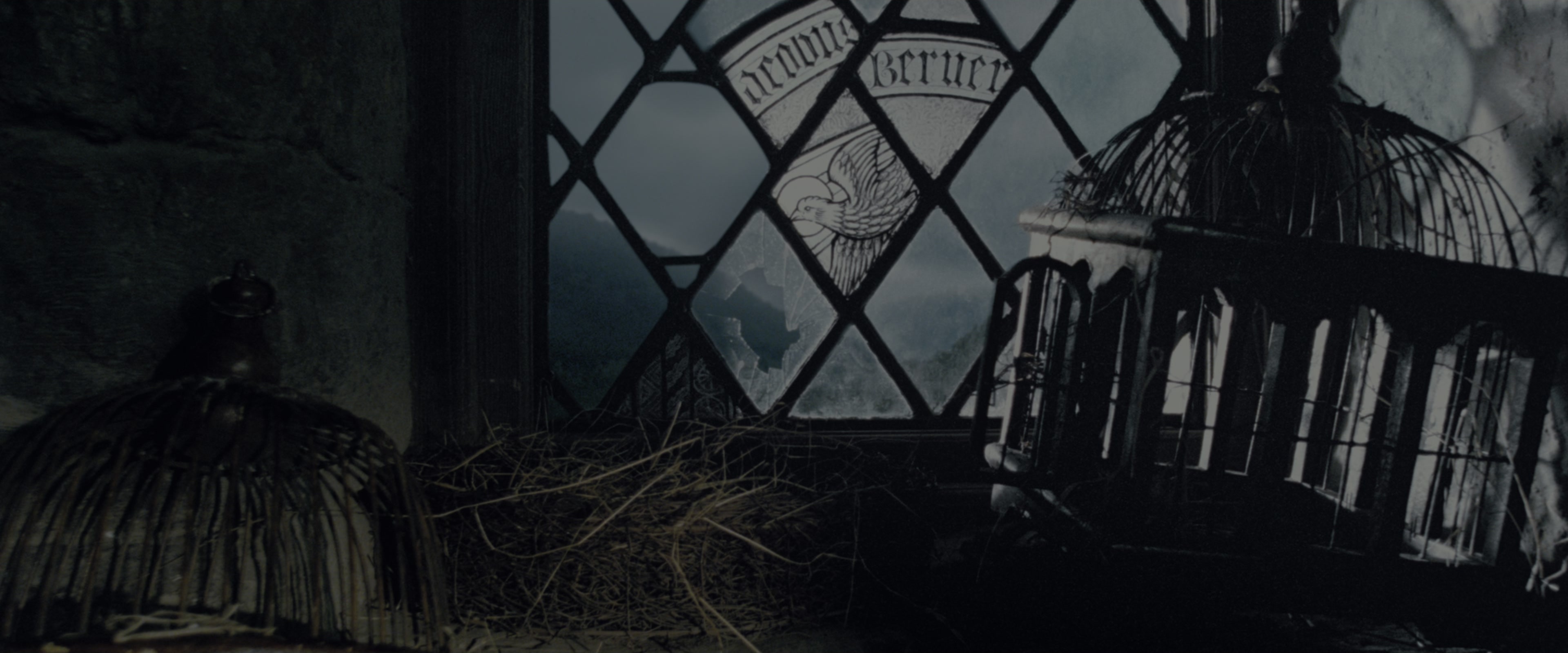 Harry Potter and the Order of the Phoenix (2007), wide, 2.40:1 — film still