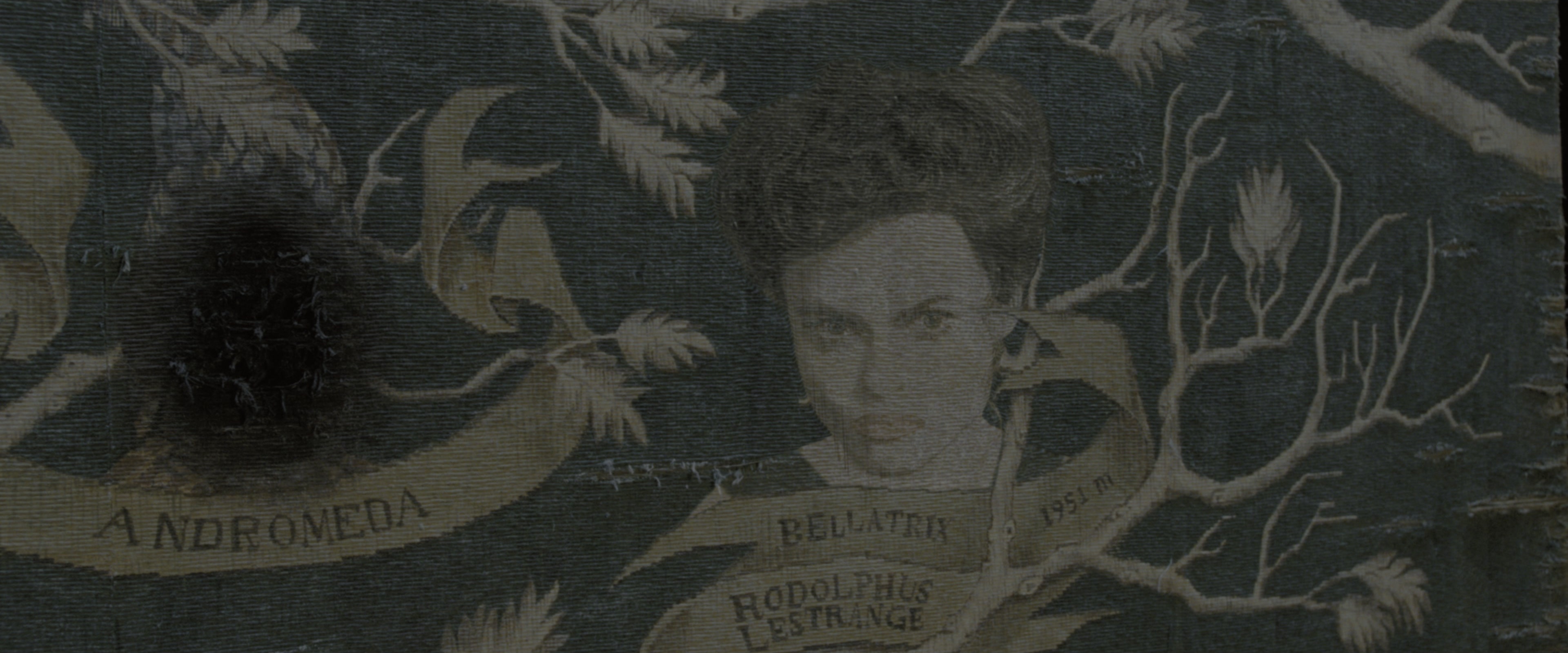 Harry Potter and the Order of the Phoenix (2007), wide, 2.40:1 — film still