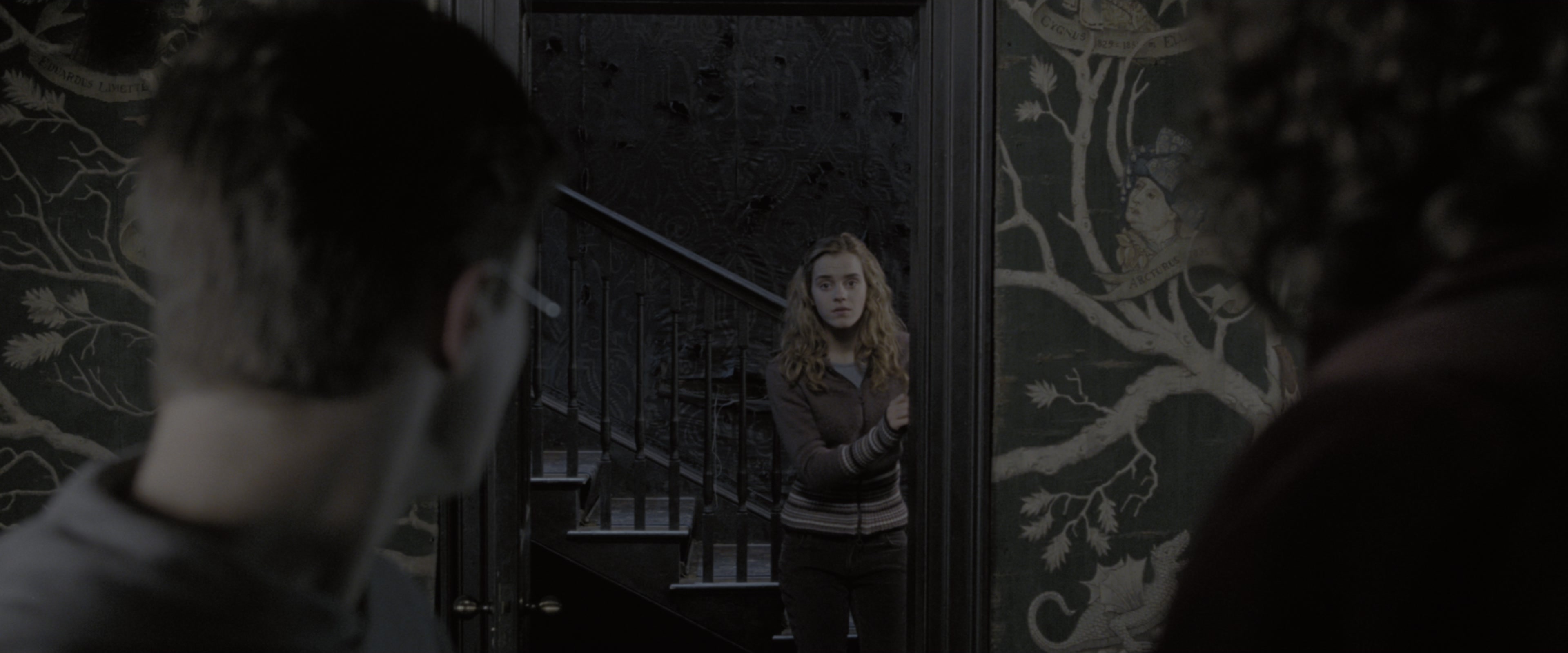 Harry Potter and the Order of the Phoenix (2007), wide, 2.40:1 — film still