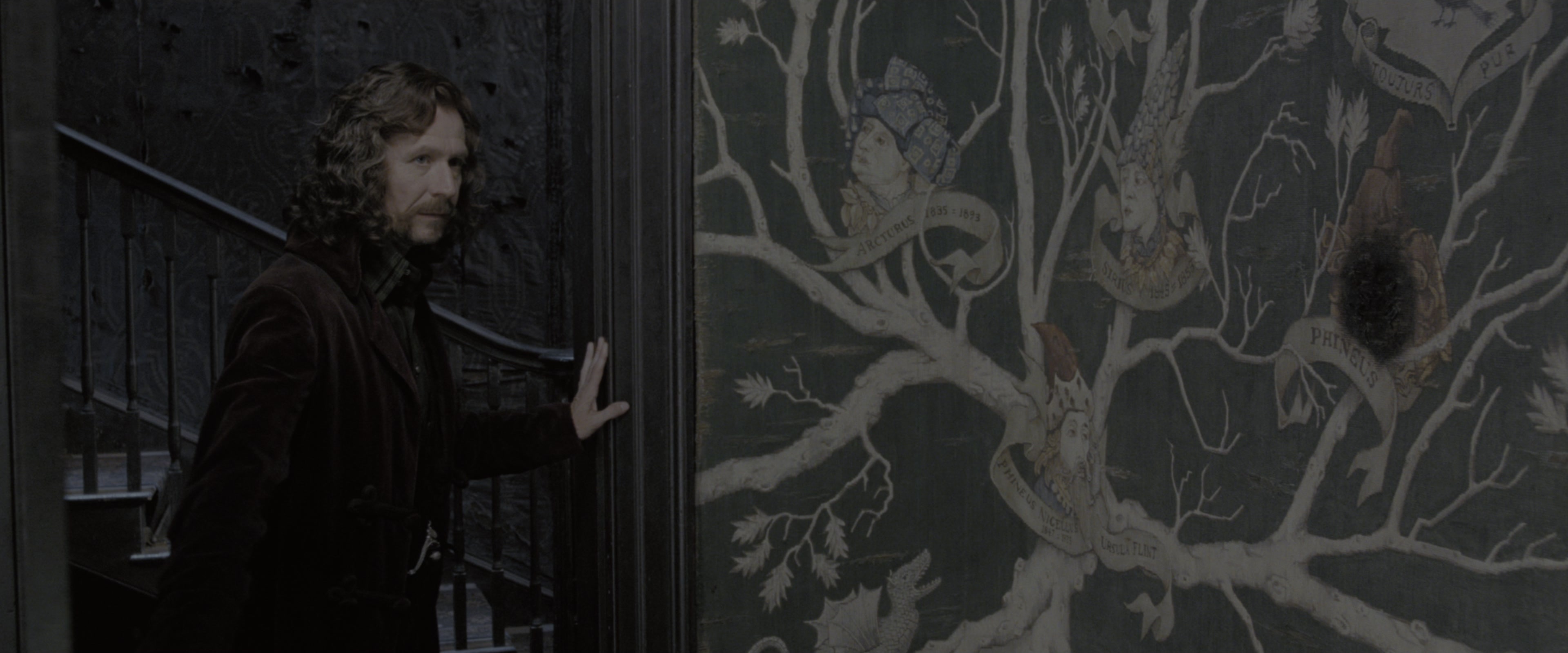 Harry Potter and the Order of the Phoenix (2007), wide, 2.40:1 — film still