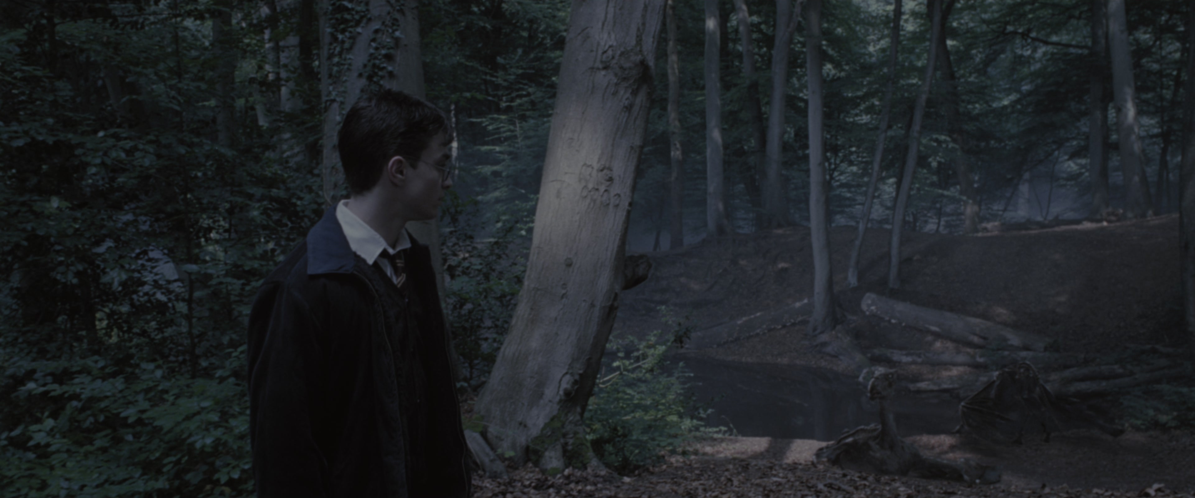 Harry Potter and the Order of the Phoenix (2007), wide, 2.40:1 — film still