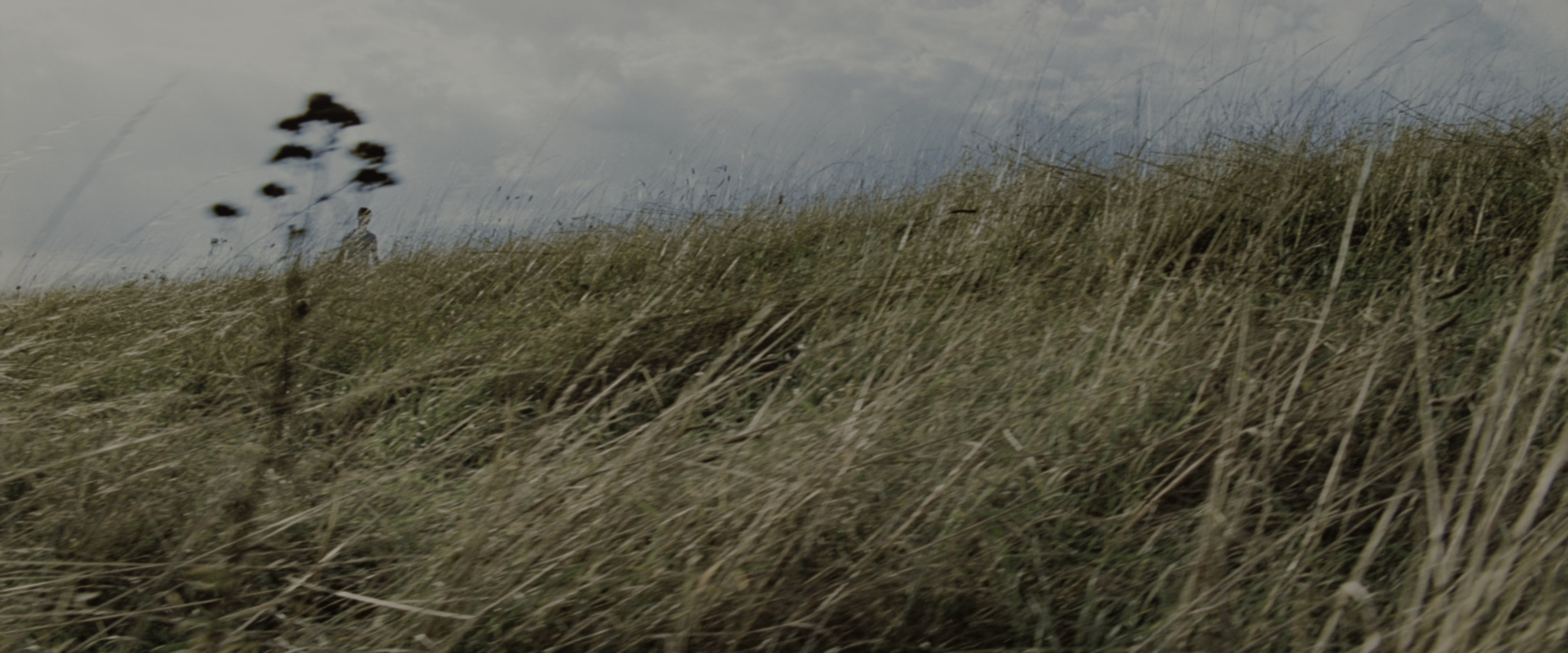 Harry Potter and the Order of the Phoenix (2007), wide, 2.40:1 — film still